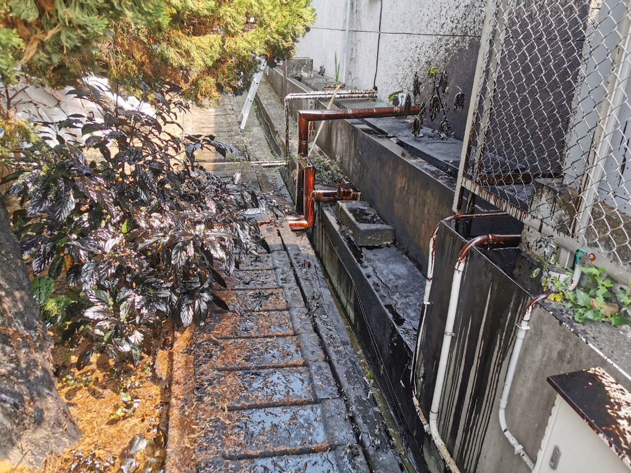 河川水溝汙染緊急清除