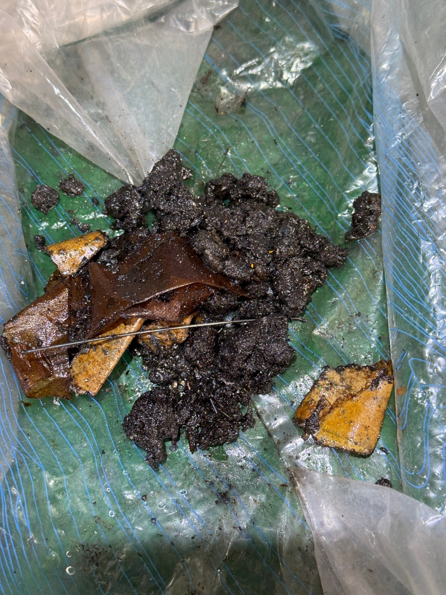 臺灣鐵路列車油箱清洗